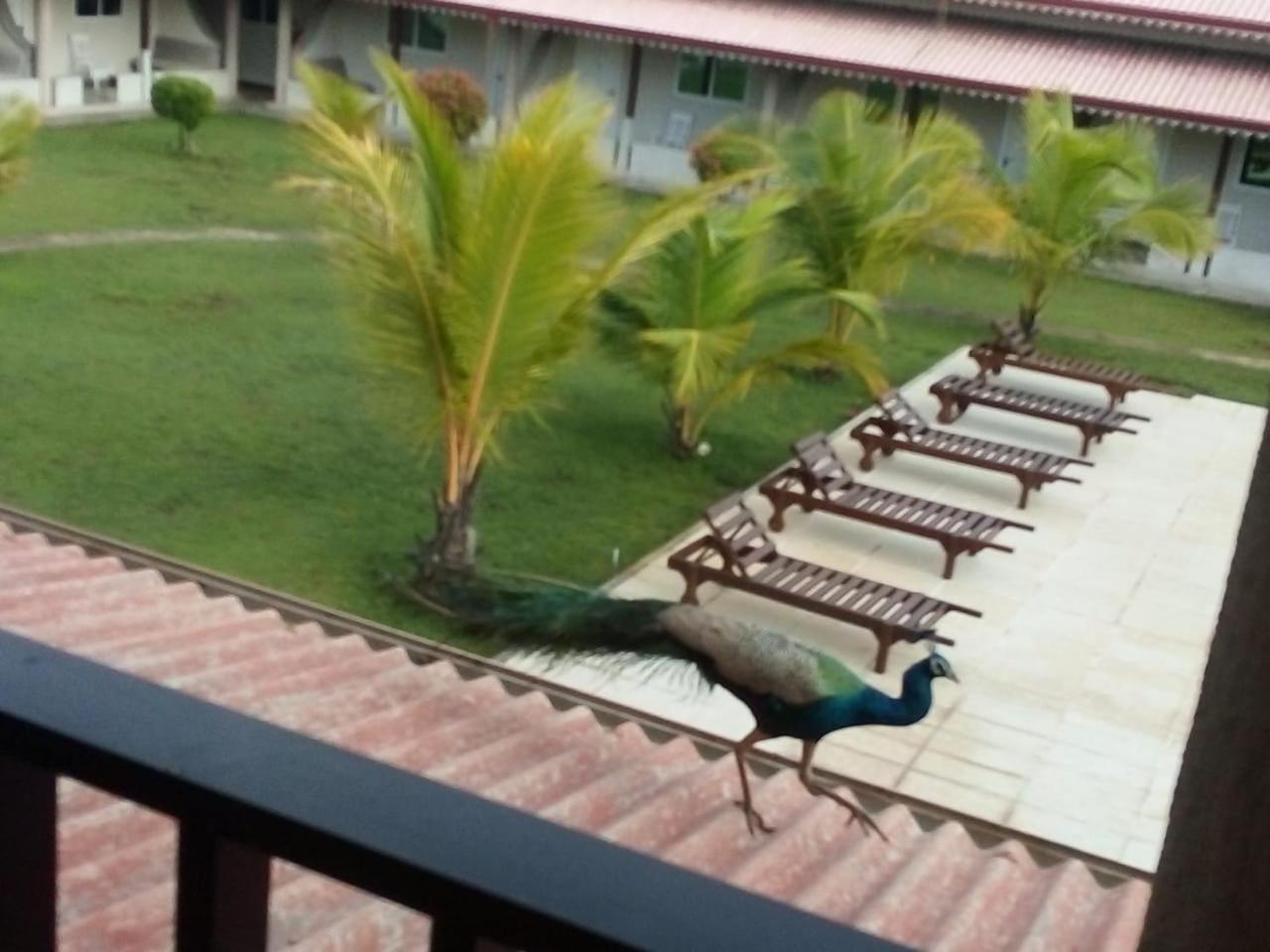 Nilakma Lagoon Negombo Exterior foto